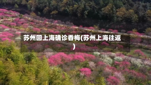 苏州回上海确诊香梅(苏州上海往返)