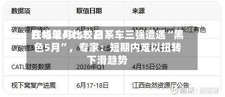 在华单月比较高跌幅近49%！日系车三强遭遇“黑色5月”，专家：短期内难以扭转下滑趋势