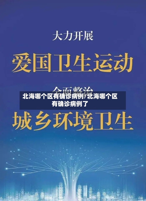 北海哪个区有确诊病例/北海哪个区有确诊病例了
