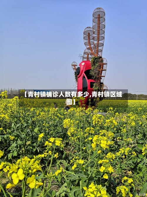 【青村镇确诊人数有多少,青村镇区域图】