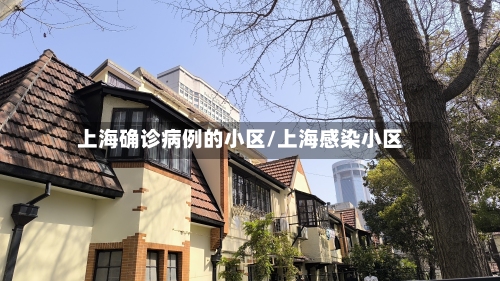 上海确诊病例的小区/上海感染小区