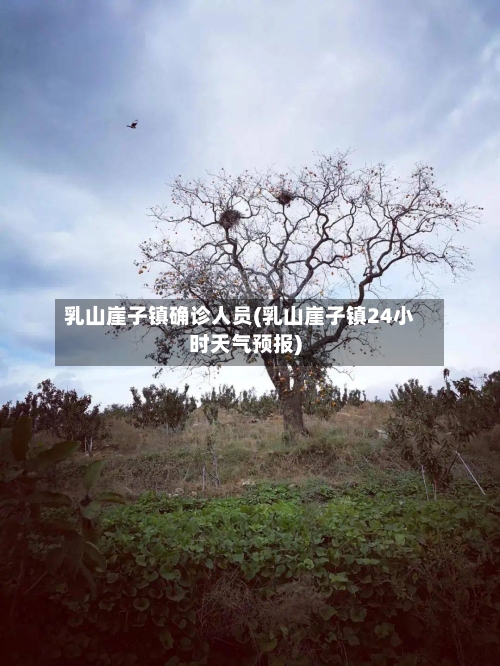 乳山崖子镇确诊人员(乳山崖子镇24小时天气预报)-第3张图片