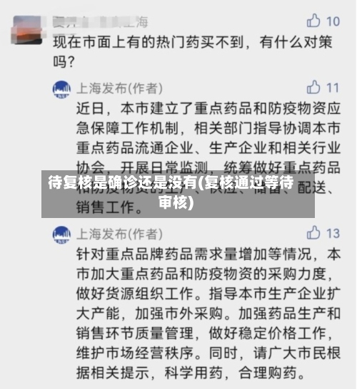 待复核是确诊还是没有(复核通过等待审核)