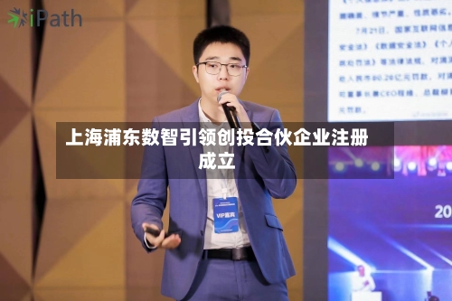 上海浦东数智引领创投合伙企业注册成立