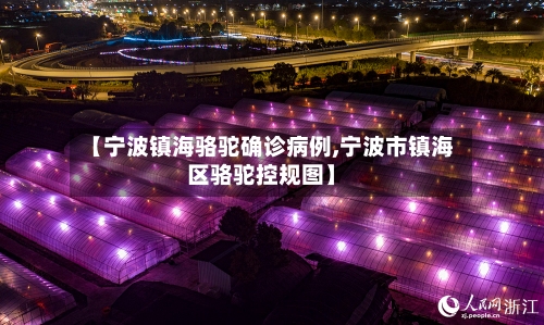 【宁波镇海骆驼确诊病例,宁波市镇海区骆驼控规图】