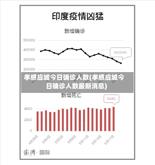 孝感应城今日确诊人数(孝感应城今日确诊人数最新消息)