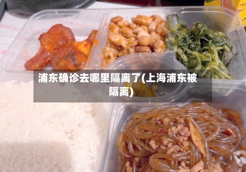 浦东确诊去哪里隔离了(上海浦东被隔离)