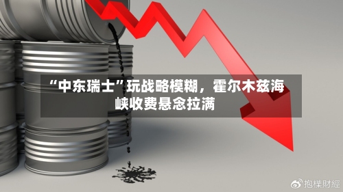 “中东瑞士	”玩战略模糊，霍尔木兹海峡收费悬念拉满-第2张图片