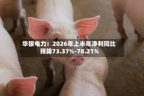 华银电力：2026年上半年净利同比预降73.37%-78.21%-第2张图片