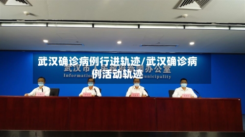 武汉确诊病例行进轨迹/武汉确诊病例活动轨迹