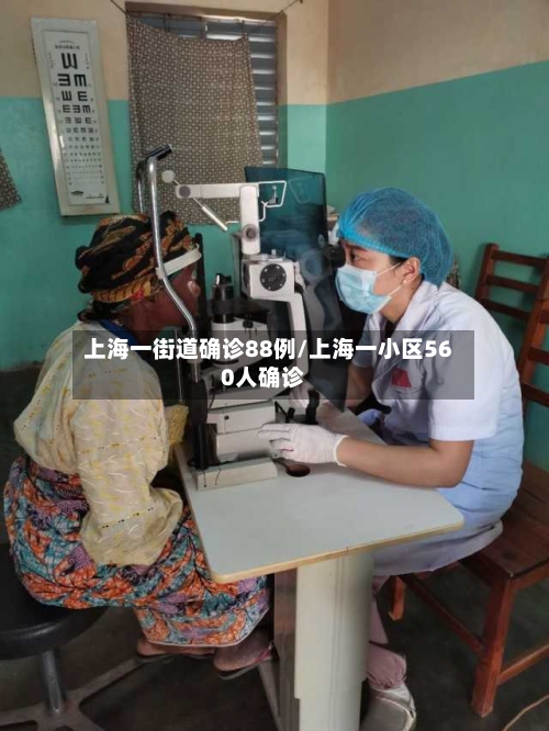 上海一街道确诊88例/上海一小区560人确诊-第2张图片