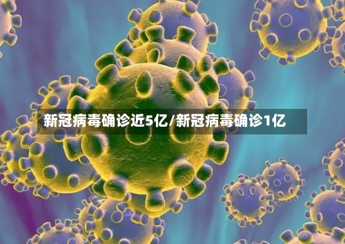 新冠病毒确诊近5亿/新冠病毒确诊1亿-第2张图片