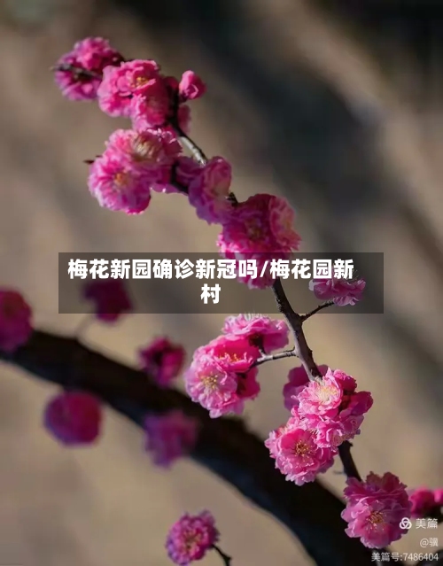 梅花新园确诊新冠吗/梅花园新村
