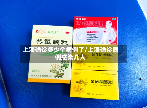 上海确诊多少个病例了/上海确诊病例感染几人-第2张图片