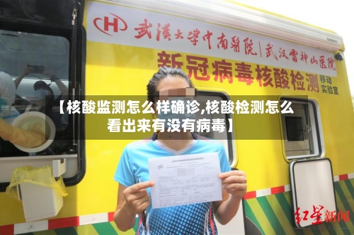 【核酸监测怎么样确诊,核酸检测怎么看出来有没有病毒】-第2张图片