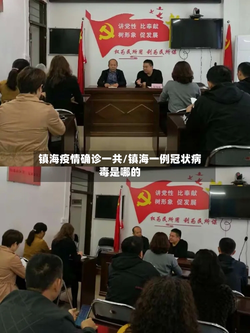 镇海疫情确诊一共/镇海一例冠状病毒是哪的
