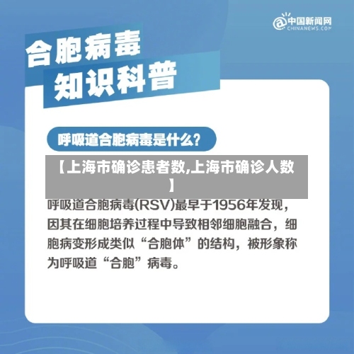 【上海市确诊患者数,上海市确诊人数】