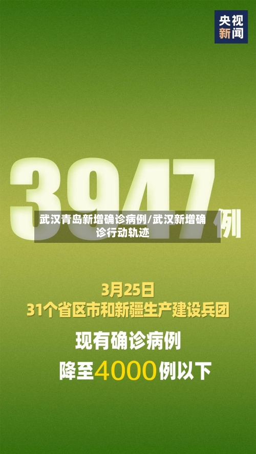 武汉青岛新增确诊病例/武汉新增确诊行动轨迹