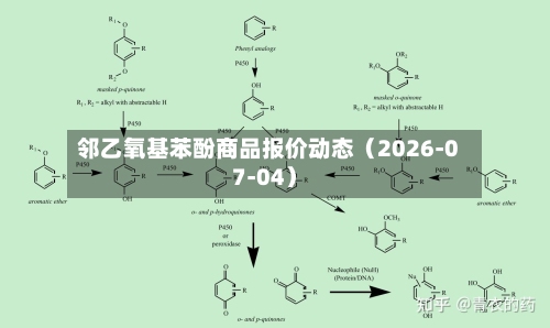 邻乙氧基苯酚商品报价动态（2026-07-04）-第2张图片