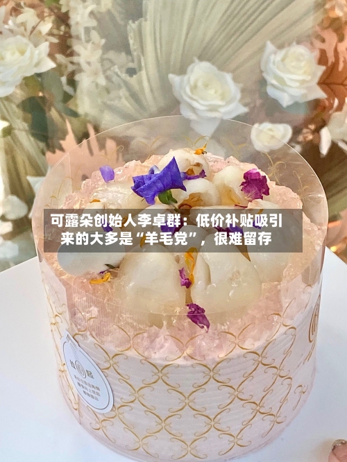 可露朵创始人李卓群：低价补贴吸引来的大多是“羊毛党	”	，很难留存-第2张图片