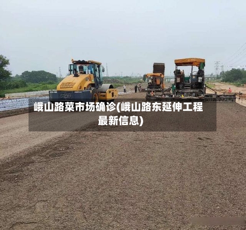 峨山路菜市场确诊(峨山路东延伸工程最新信息)