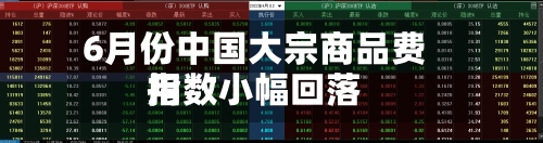 6月份中国大宗商品费用指数小幅回落-第2张图片