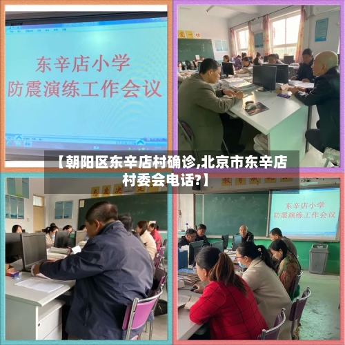 【朝阳区东辛店村确诊,北京市东辛店村委会电话?】-第2张图片