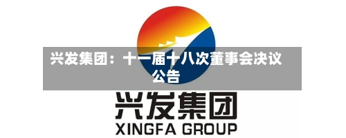 兴发集团：十一届十八次董事会决议公告-第2张图片