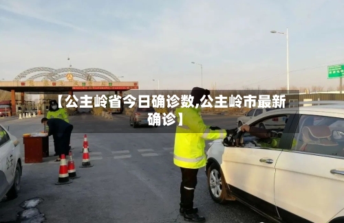 【公主岭省今日确诊数,公主岭市最新确诊】-第2张图片
