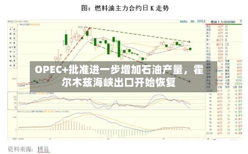 OPEC+批准进一步增加石油产量	，霍尔木兹海峡出口开始恢复-第3张图片