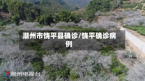 潮州市饶平县确诊/饶平确诊病例-第2张图片
