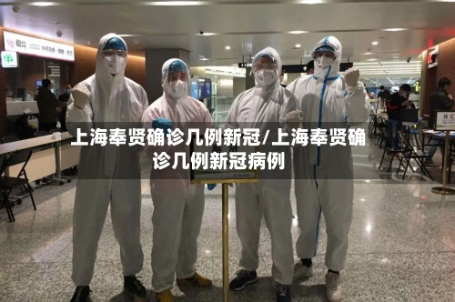 上海奉贤确诊几例新冠/上海奉贤确诊几例新冠病例