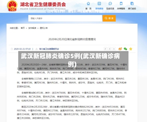 武汉新冠肺炎确诊5例(武汉新确诊病例)