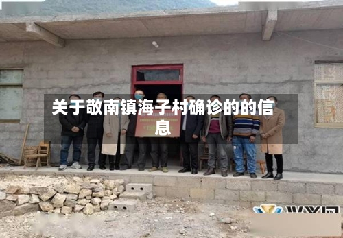 关于敬南镇海子村确诊的的信息-第3张图片