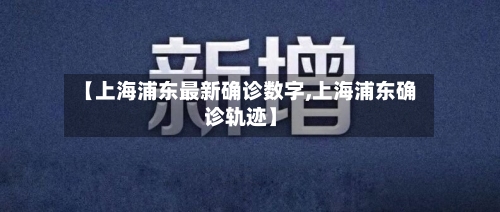 【上海浦东最新确诊数字,上海浦东确诊轨迹】-第2张图片