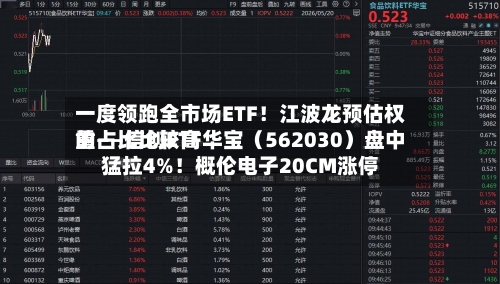 一度领跑全市场ETF！江波龙预估权重占比比较高的——信创ETF华宝（562030）盘中猛拉4%！概伦电子20CM涨停
