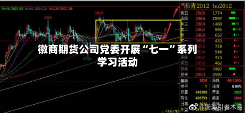 徽商期货公司党委开展“七一”系列学习活动-第2张图片