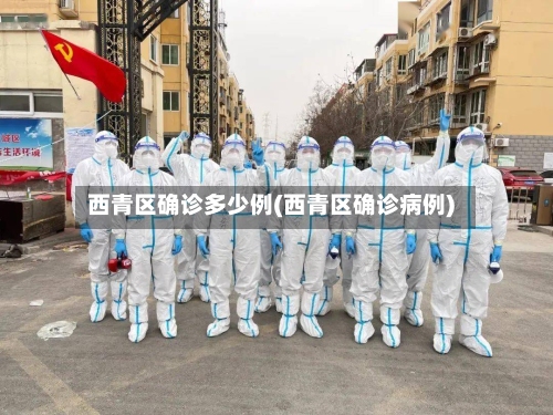 西青区确诊多少例(西青区确诊病例)