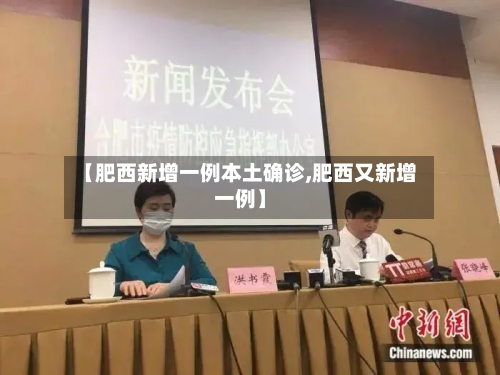 【肥西新增一例本土确诊,肥西又新增一例】-第2张图片