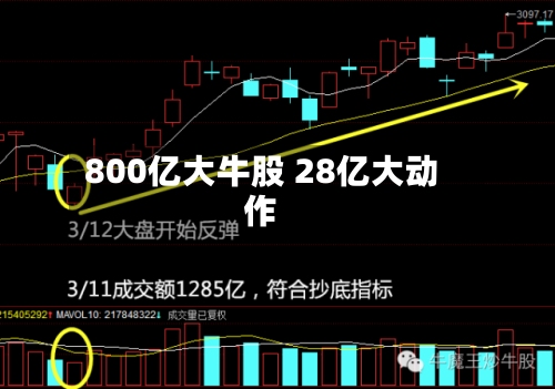800亿大牛股 28亿大动作-第2张图片