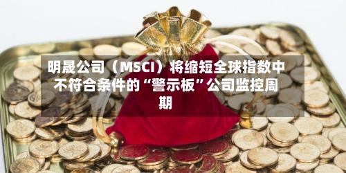 明晟公司（MSCI）将缩短全球指数中不符合条件的“警示板”公司监控周期-第2张图片