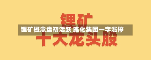 锂矿概念盘初活跃 雅化集团一字涨停-第2张图片