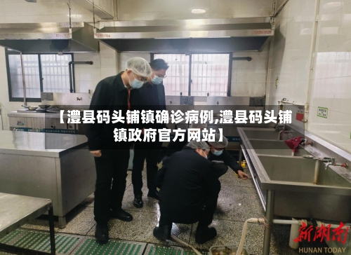 【澧县码头铺镇确诊病例,澧县码头铺镇政府官方网站】