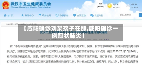 【咸阳确诊刘某孩子在那,咸阳确诊一例冠状肺炎】