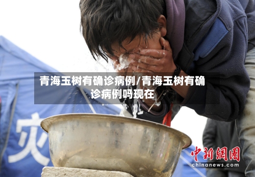 青海玉树有确诊病例/青海玉树有确诊病例吗现在