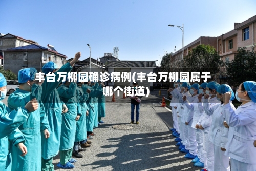 丰台万柳园确诊病例(丰台万柳园属于哪个街道)-第2张图片