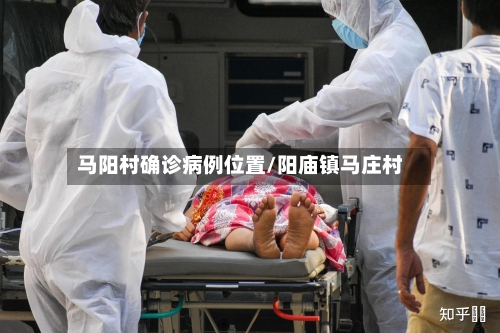 马阳村确诊病例位置/阳庙镇马庄村