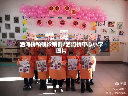 洒河桥镇确诊病例/洒河桥中心小学图片-第2张图片