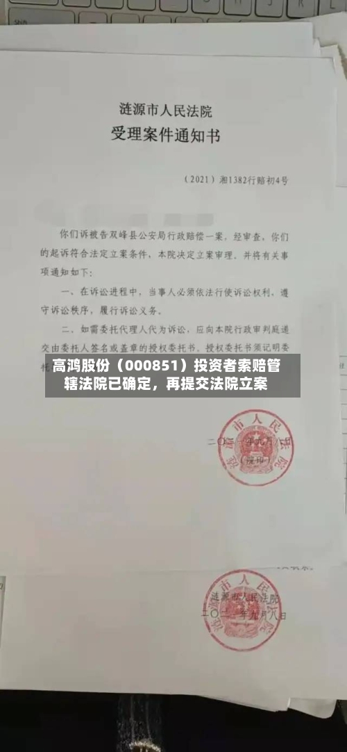 高鸿股份（000851）投资者索赔管辖法院已确定，再提交法院立案-第3张图片